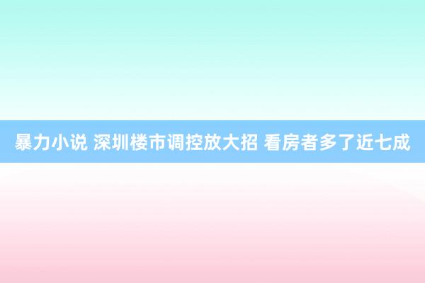 暴力小说 深圳楼市调控放大招 看房者多了近七成