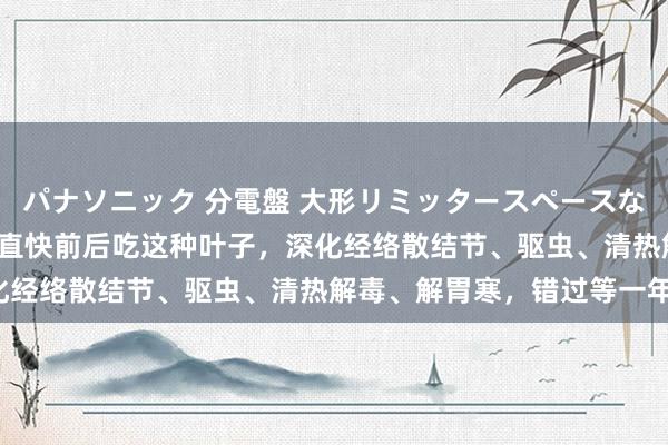 パナソニック 分電盤 大形リミッタースペースなし 露出・半埋込両用形 直快前后吃这种叶子，深化经络散结节、驱虫、清热解毒、解胃寒，错过等一年！