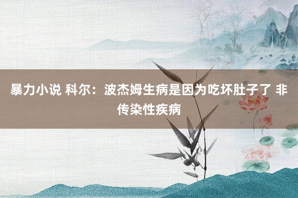 暴力小说 科尔：波杰姆生病是因为吃坏肚子了 非传染性疾病