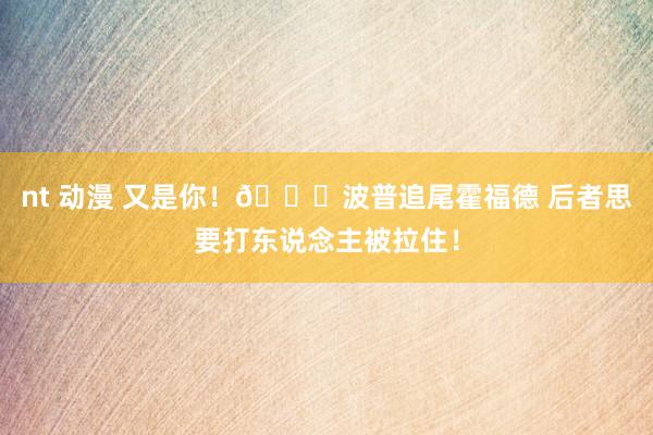 nt 动漫 又是你！🚗波普追尾霍福德 后者思要打东说念主被拉住！